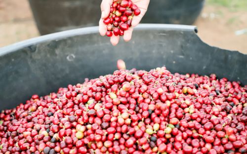 3元多，品味現(xiàn)磨精品咖啡與甜點(diǎn)時(shí)光